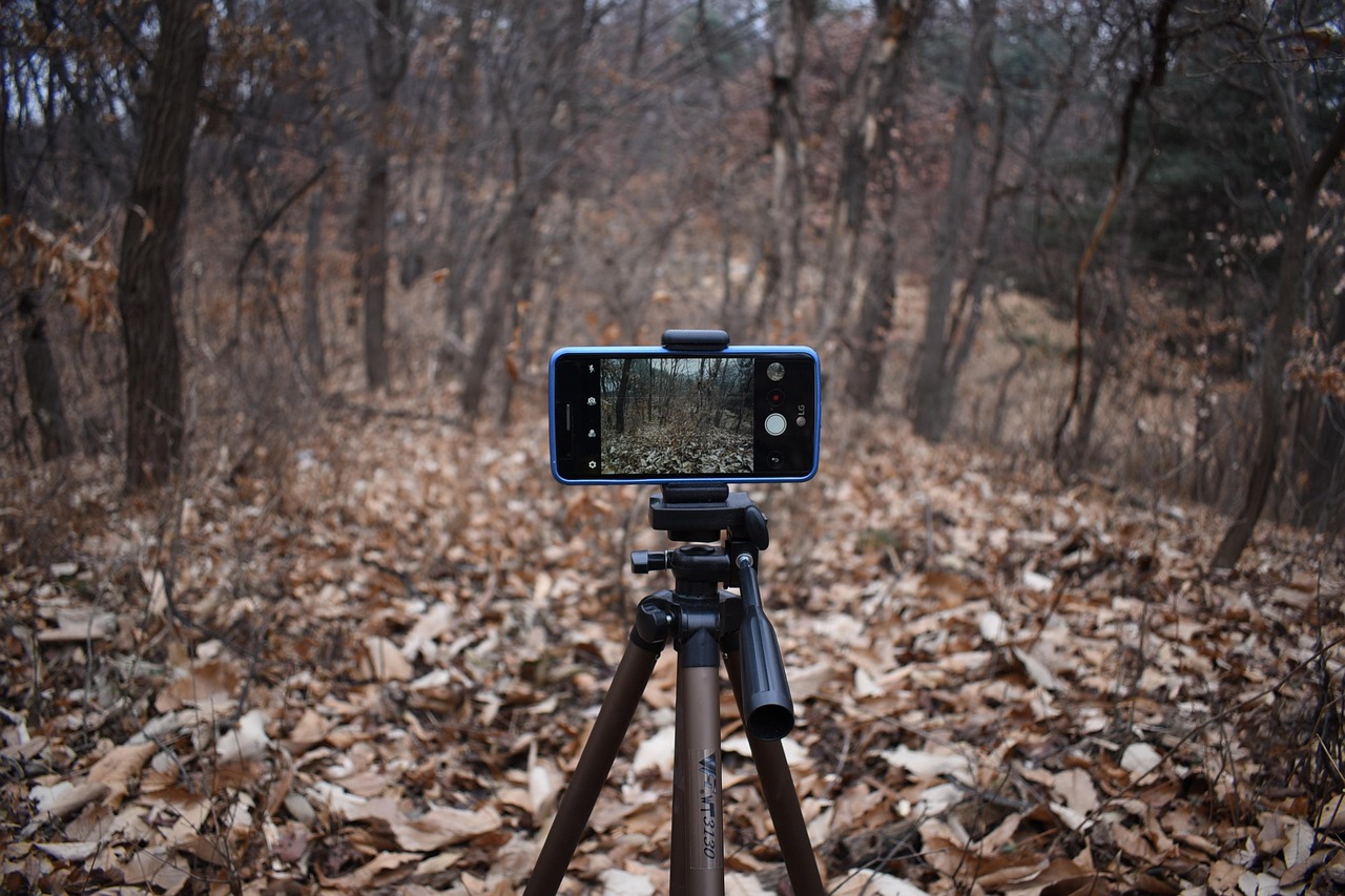 Magnetic phone mounts: the strength you need and the strength you do not - content creator lighting and camera mounting